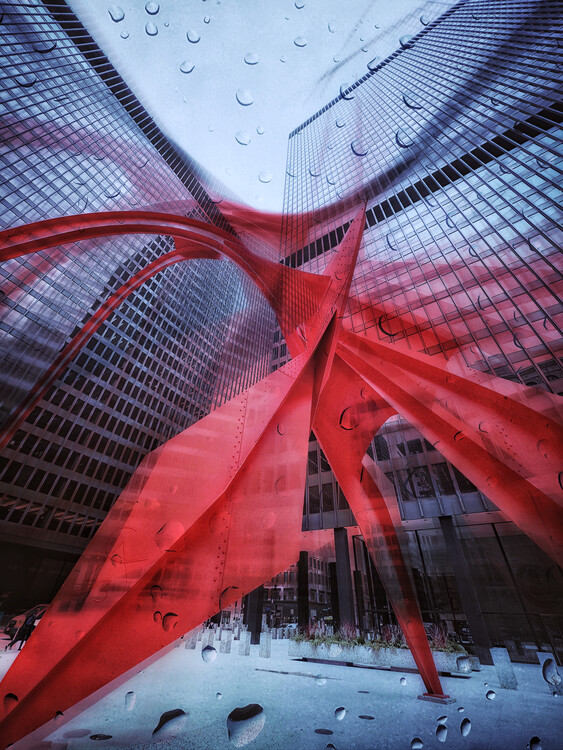 Poster Through the rain