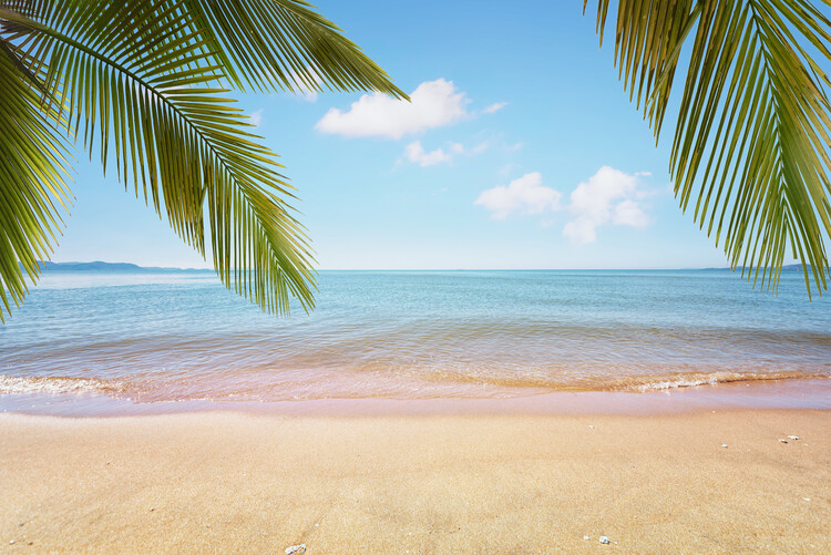 Poster Tropical Vibes