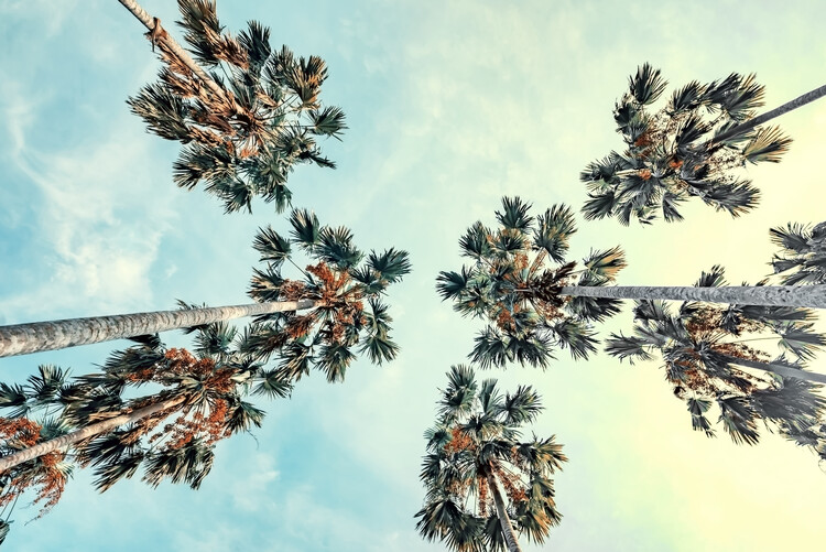 Poster California