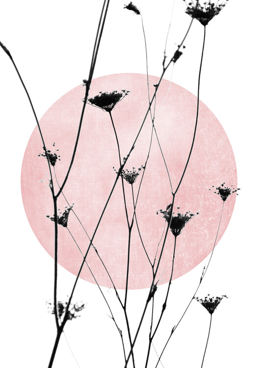 Poster Wildflowers rose vintage