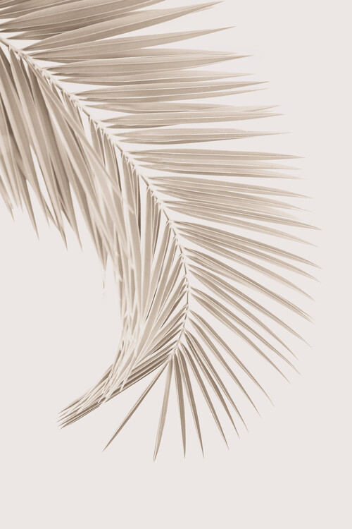 Poster Palm Leaf - Beige