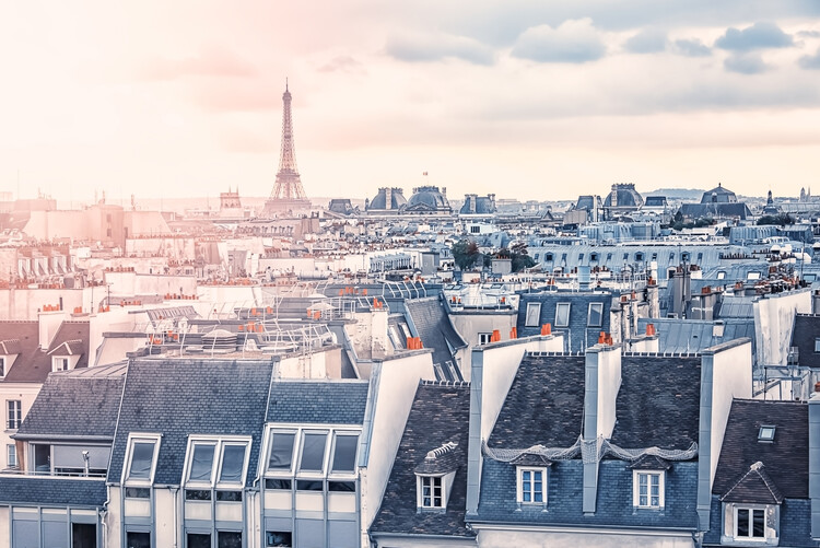 Poster Roofs In Paris