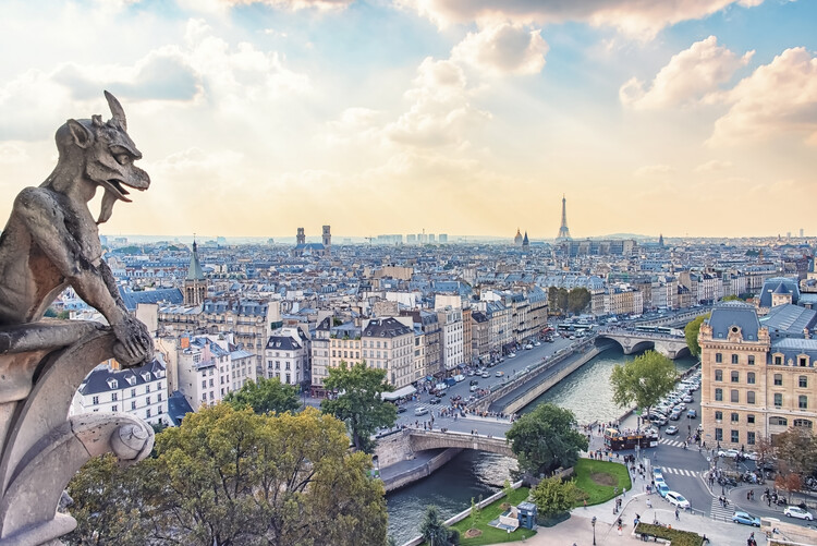 Poster Gargoyle In Paris