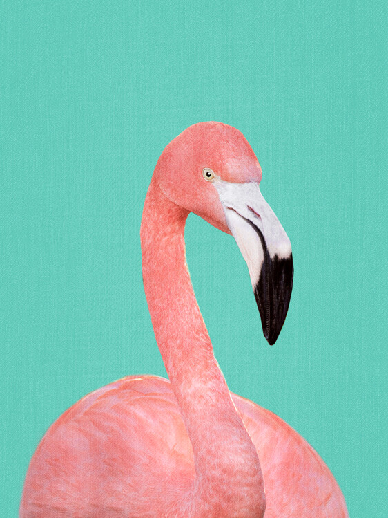 Poster Flamingo in Blue
