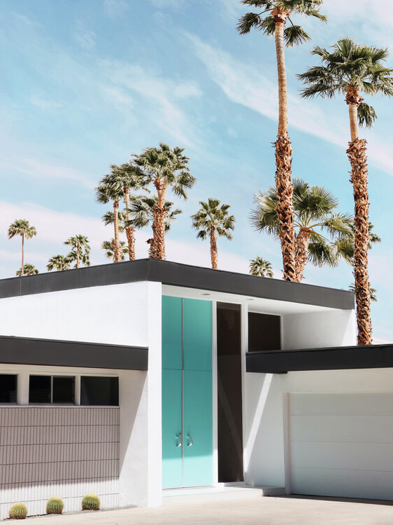 Poster Life At Palm Spring