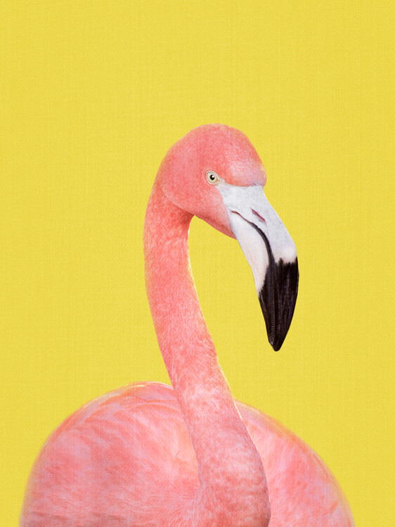 Poster Flamingo in Yellow