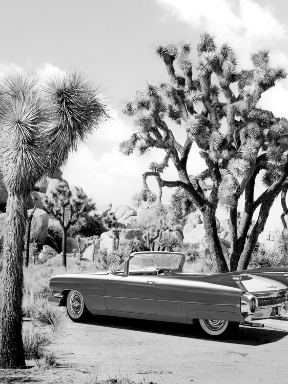 Poster Vintage Road Trip - Black & White