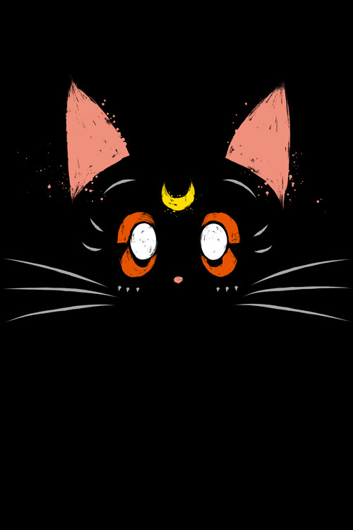 Poster Luna cat