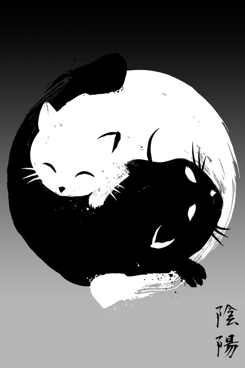 Poster Yin Yang cats