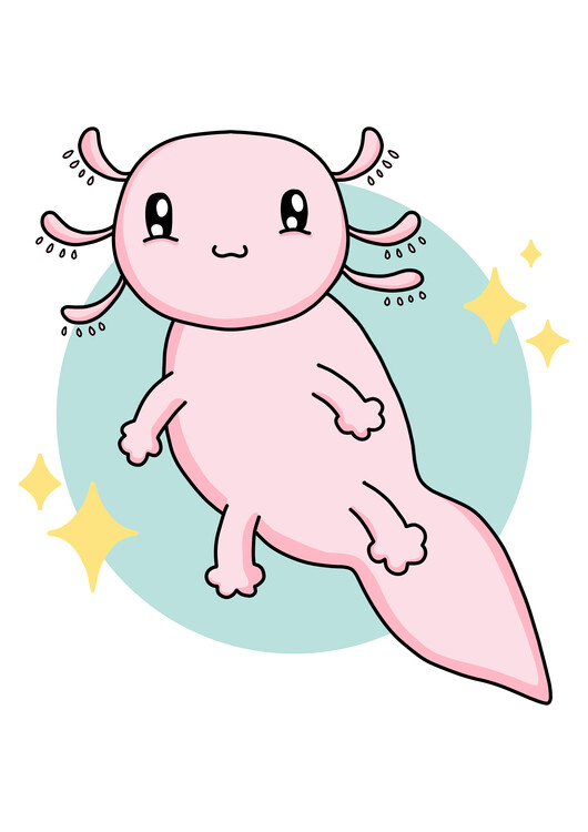Poster Axolotl