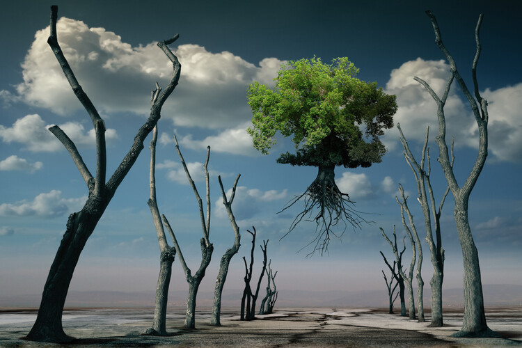 Canvas Print I want to fly