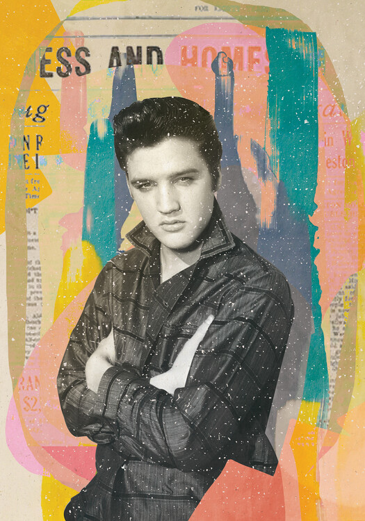 Poster King in the House