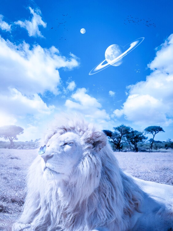 Plakát White lion and blue butterfly