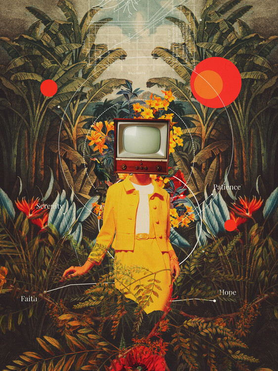 Poster She Came From the Wilderness