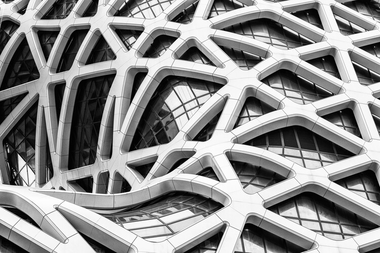 Canvas Print The Maze