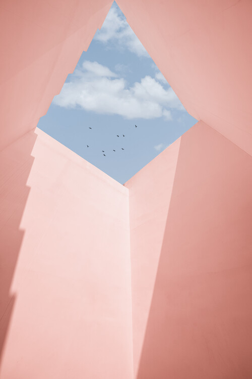 Canvas Print build view