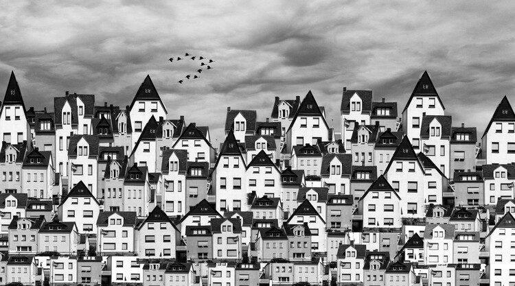 Brig Barkow Plakát, Obraz - The Magic Swan Geese, 40 × 22.2 Cm