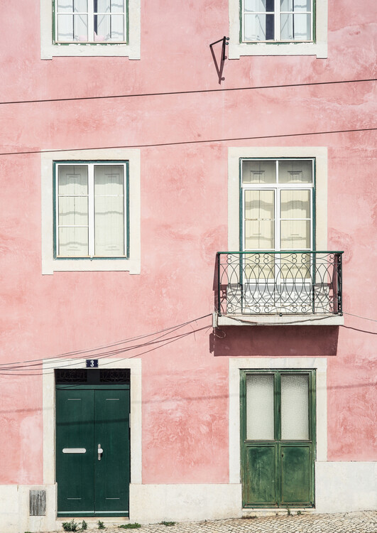 Levně Plakát, Obraz - Pink Parade, Shot by Clint, 30 × 40 cm