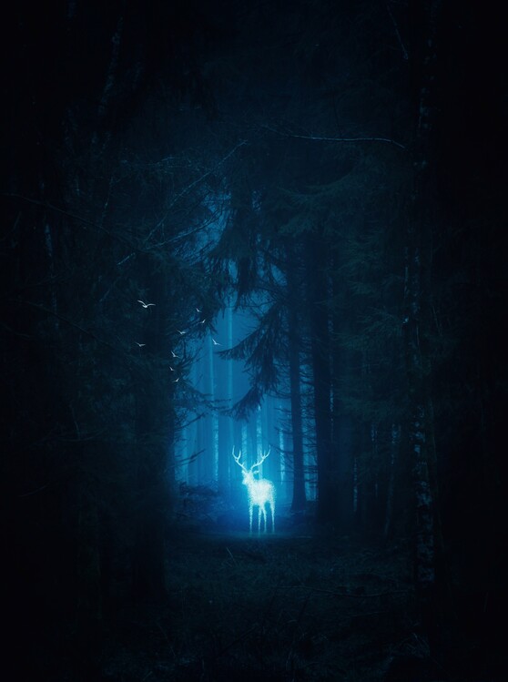 Poster Magic blue deer Patronus in the forest