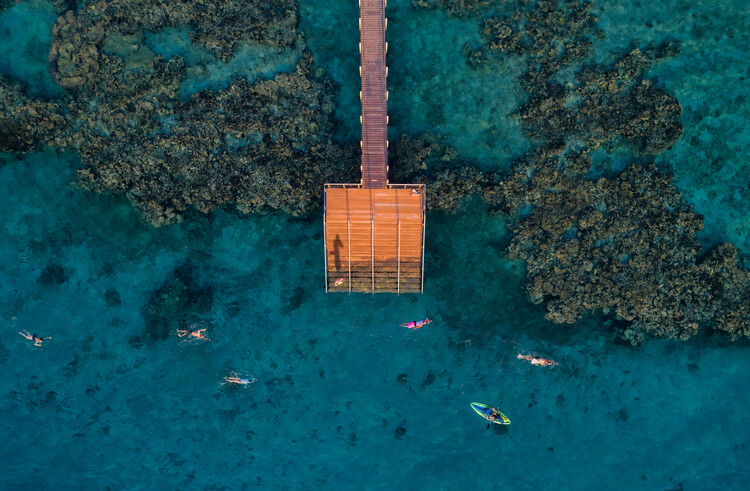 Canvas Print coral escape