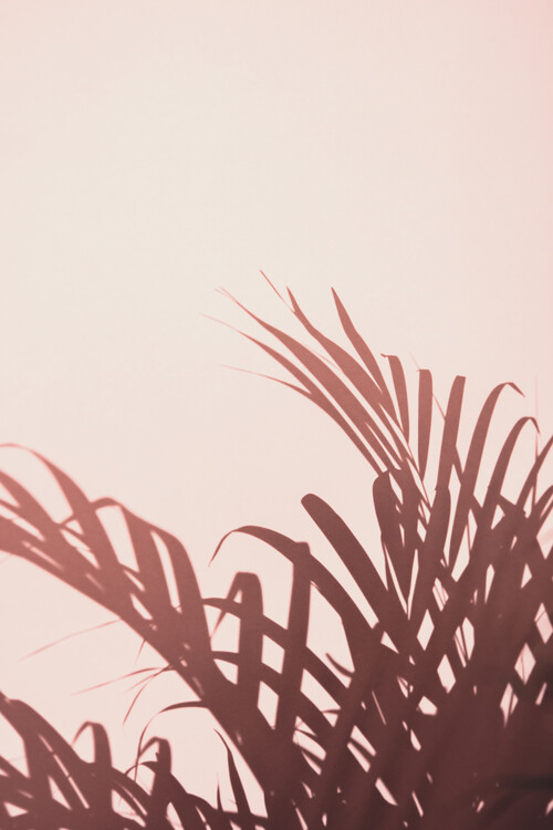 Levně Plakát, Obraz - Palm leaves_2, Studio III, 26.7 × 40 cm