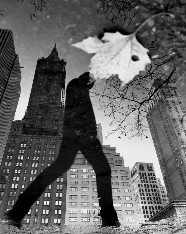 Poster NY Reflections