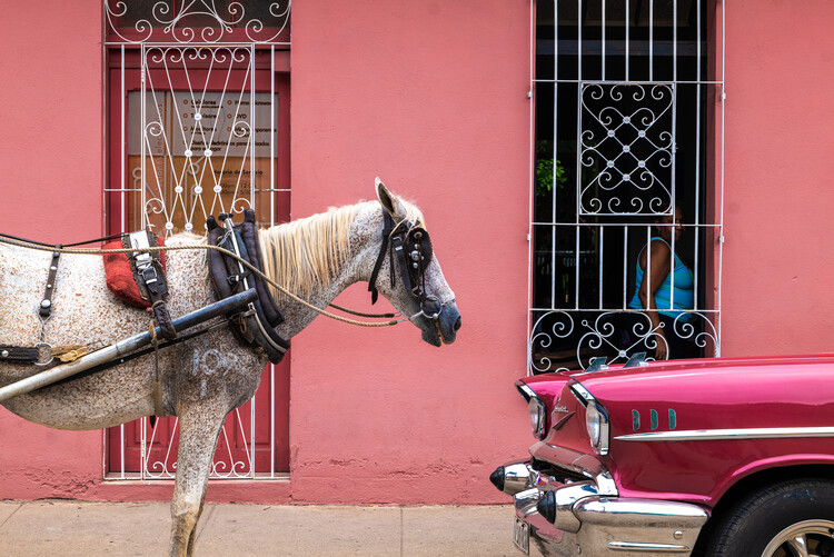 Canvas Print The Vintage