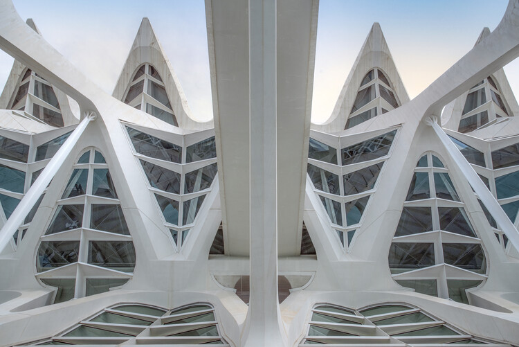 Canvas Print mirror image