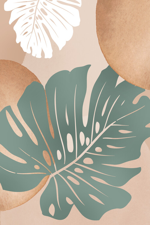 Poster Monstera stillife