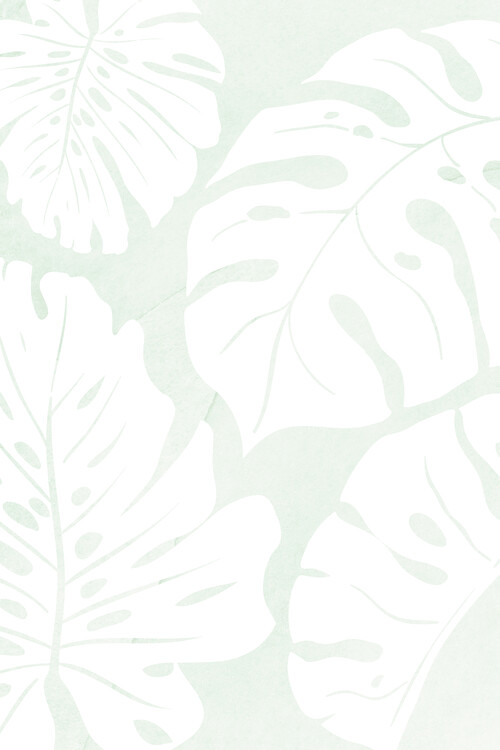 Poster Monstera Leafes