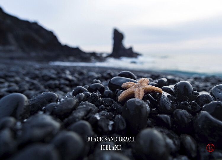 Poster Black sand beach Iceland