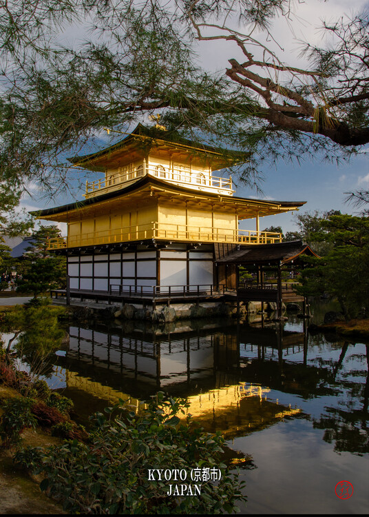 Плакат Kinkaku-ji Kyoko Japan