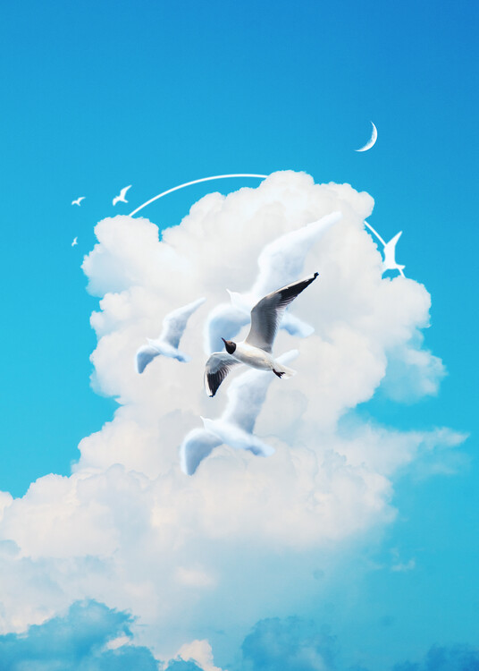 Poster Fly Free Birds Cloud