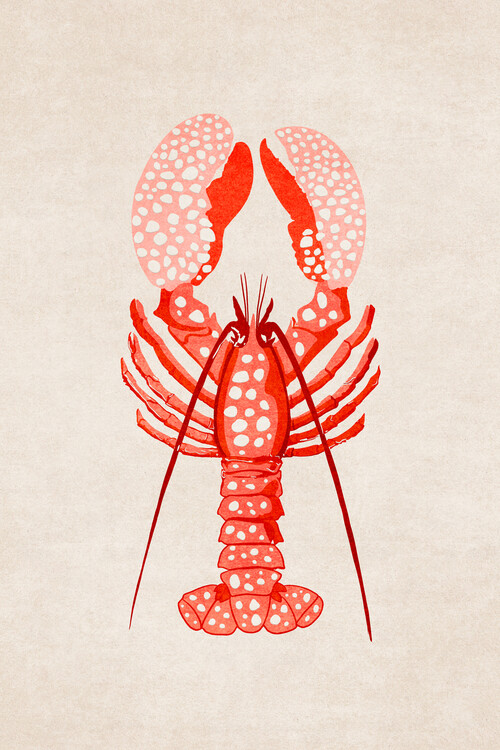 Poster Emel Tunaboylu - Lobster