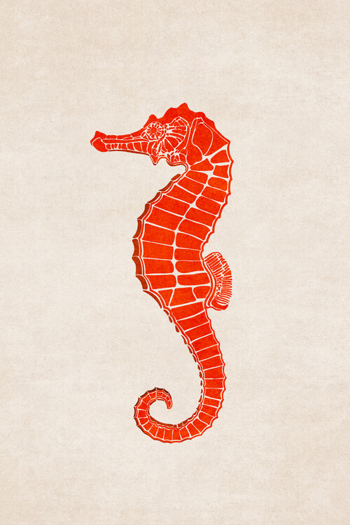 Poster Emel Tunaboylu - Seahorse