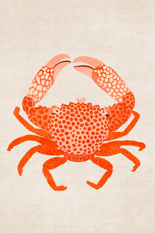 Poster Emel Tunaboylu - Crab