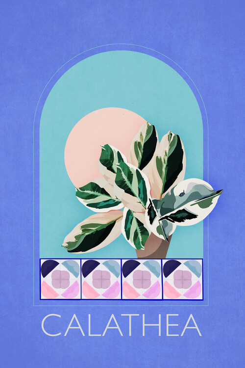Plakát Emel Tunaboylu - Calathea