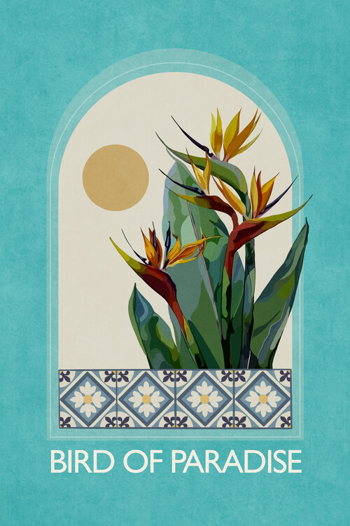 Plakát Emel Tunaboylu - Bird of paradise