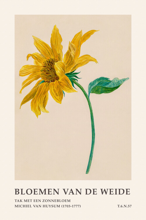 Poster Autumn Sunflower (Meadow Flowers) - Michiel van Huysum