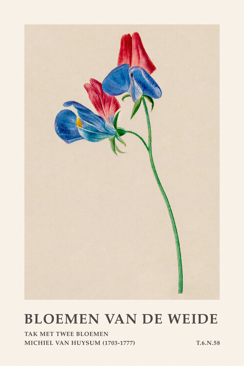 Poster Blue & Red Floral (Meadow Flowers) - Michiel van Huysum