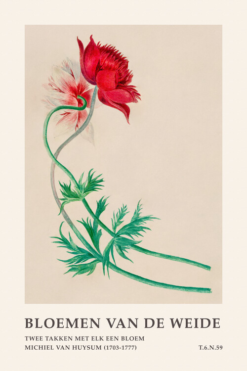 Poster Red Floral (Meadow Flowers) - Michiel van Huysum