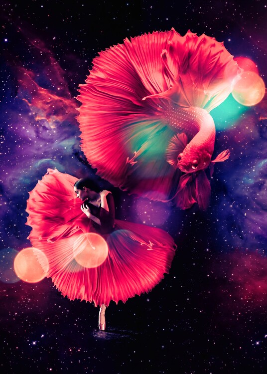 Poster Dancer and red betta fish ballet