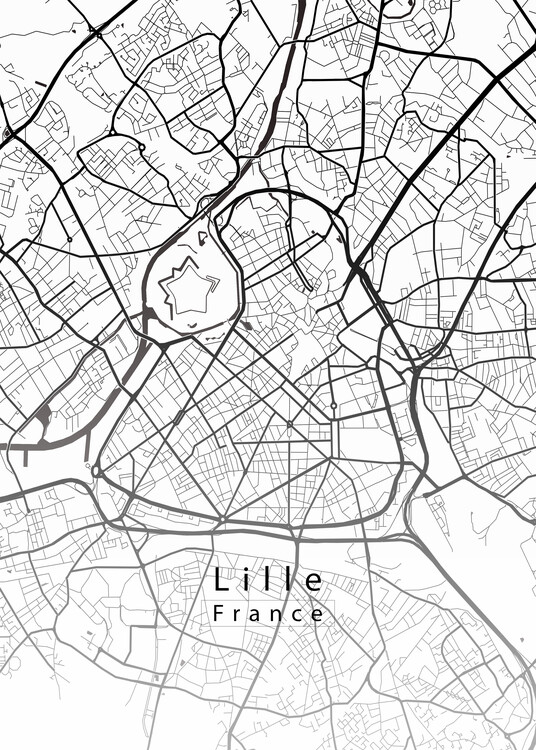 Poster Lille France City Map
