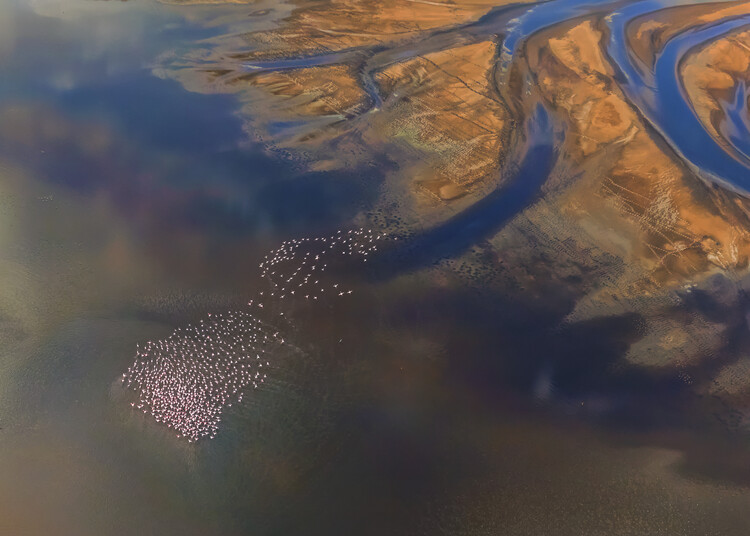Levně Plakát, Obraz - Aerial Flamingo, Yun Wang, 40 × 30 cm
