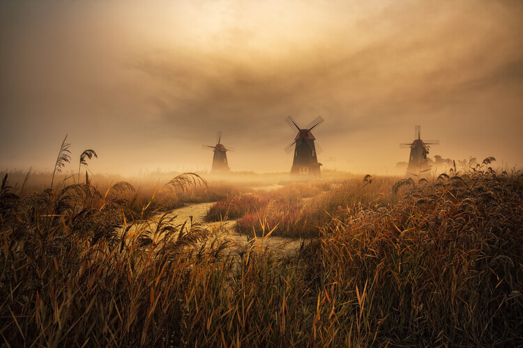 Poster A fascinating morning