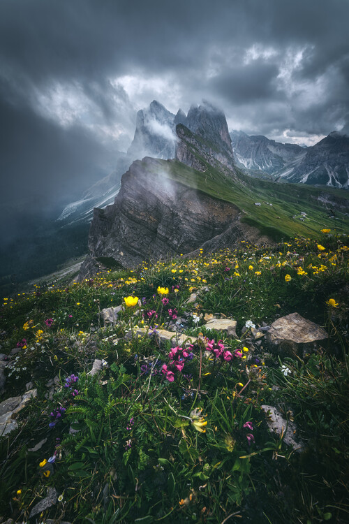 Plakat Dolomites - Seceda 2500