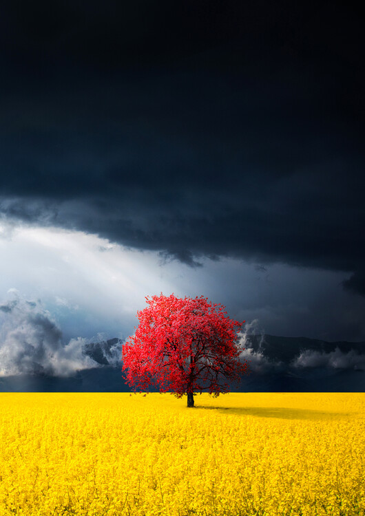 Levně Plakát, Obraz - Red tree, Bess Hamiti, 30 × 40 cm