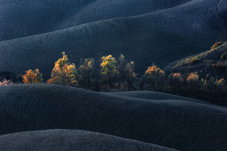 Plakát Tuscany