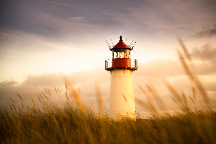Canvas Print Sylt Impression