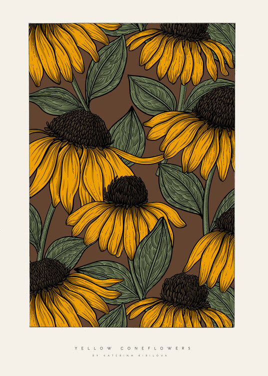 Poster Katerina Kirilova - Coneflowers